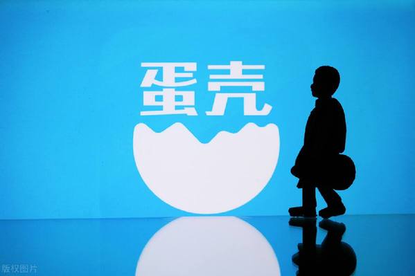 租戶、房東、員工，如何面對“一地蛋殼”