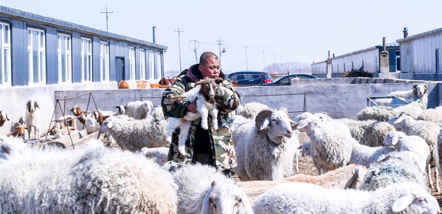 易地搬遷讓村民“住得好、能致富”