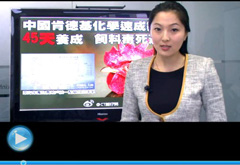 權(quán)威聲音：“快時代”究竟還有什么可以速成？