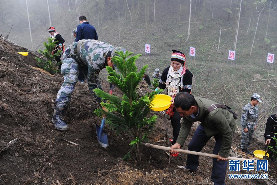 （圖文互動）（6）和平年代，離死神最近的人——南部戰(zhàn)區(qū)陸軍云南掃雷大隊邊境掃雷排爆記事