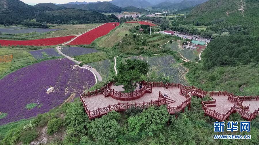 （十九大·讀報告 話民生）（10）加快生態(tài)文明體制改革，建設(shè)美麗中國