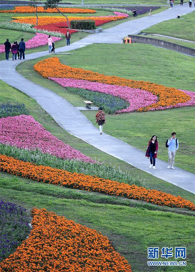 （社會）（2）臺北河濱公園花團錦簇