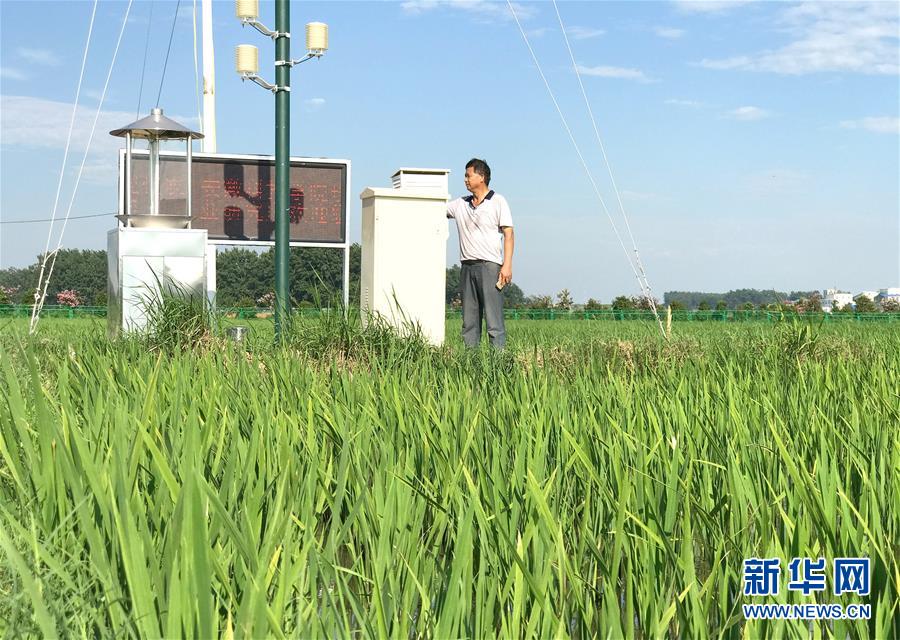 （新華全媒頭條·紀念改革開放40年特稿·圖文互動）（6）向著新航程揚帆奮進！——從小崗精神看中國改革開放40年