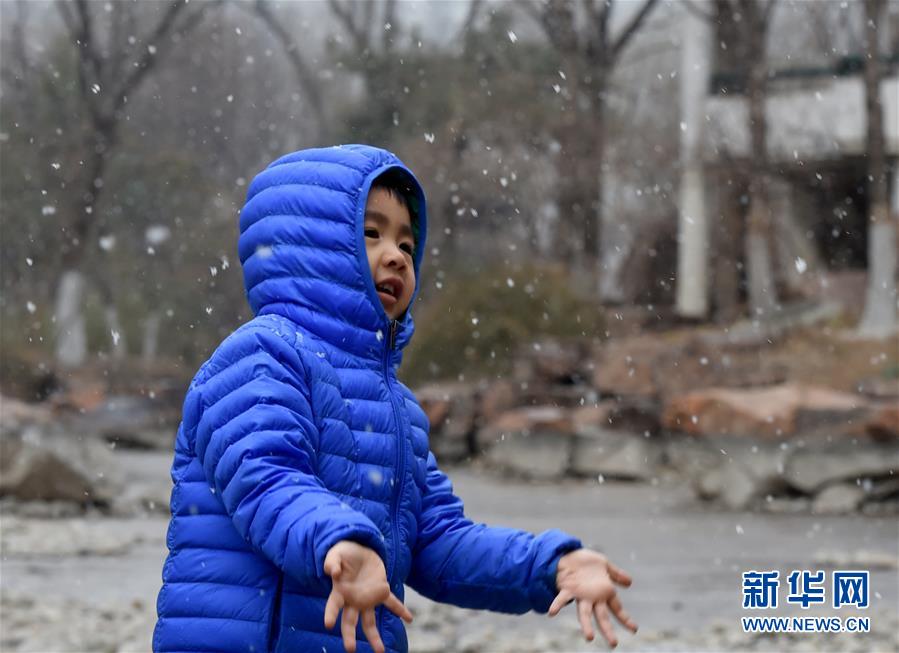 （環(huán)境）（1）北京迎來春雪