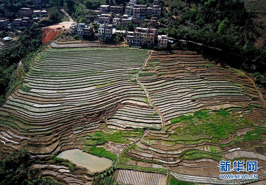 （春季美麗生態(tài)）（2）飛閱邊關山田春景