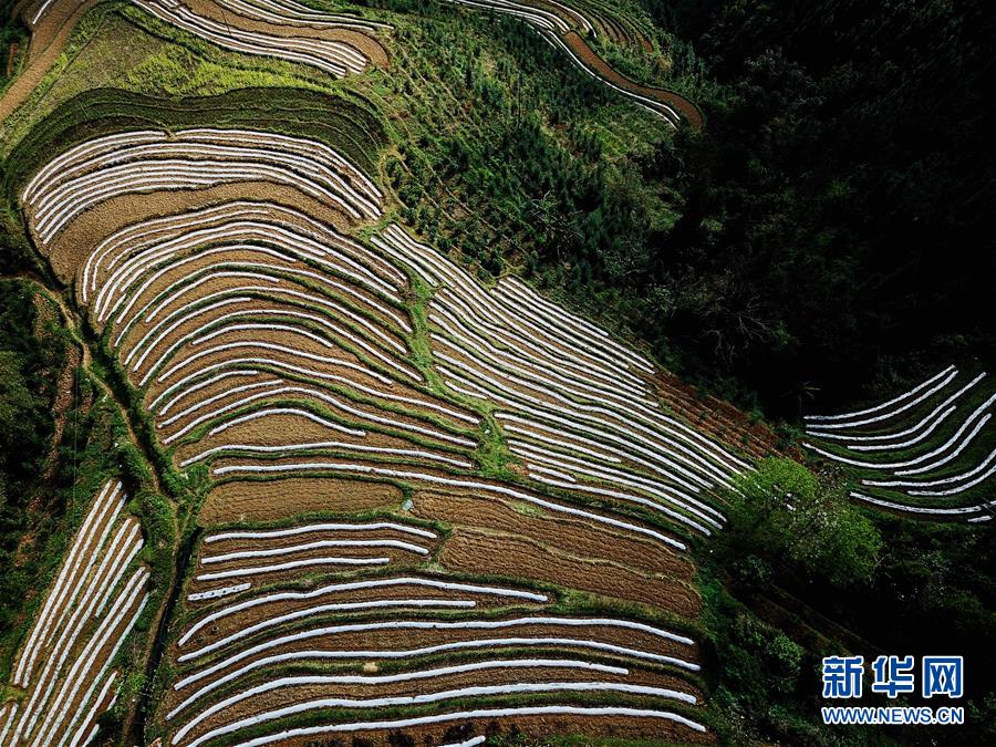 （春季美麗生態(tài)）（4）飛閱邊關(guān)山田春景