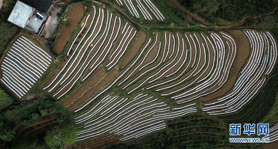 （春季美麗生態(tài)）（8）飛閱邊關(guān)山田春景