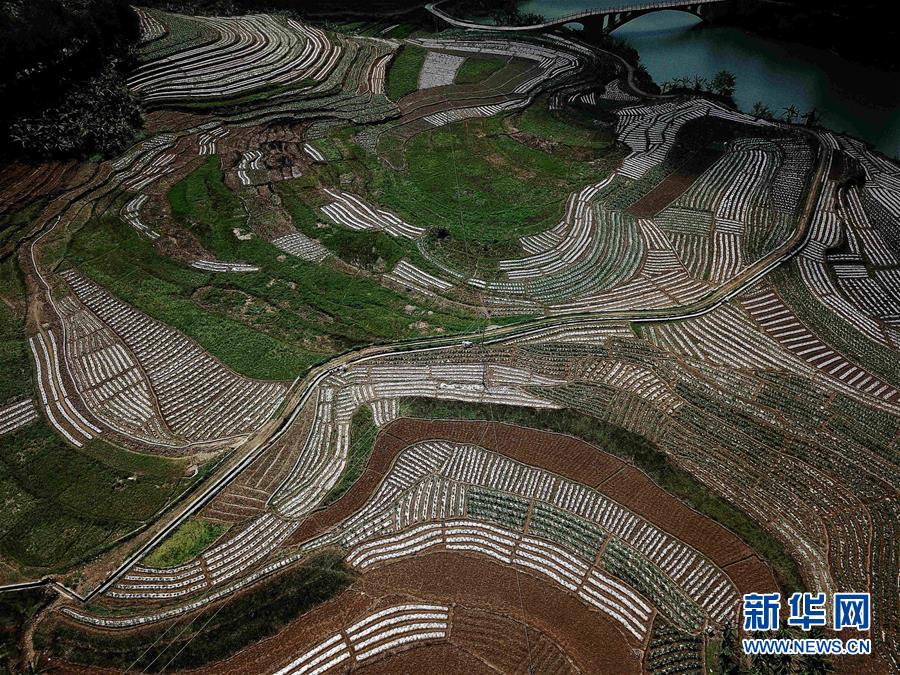 （春季美麗生態(tài)）（11）飛閱邊關(guān)山田春景