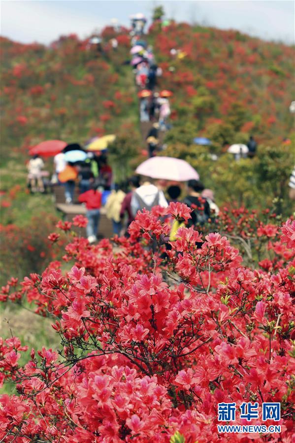 #（環(huán)境）（4）花開在四月