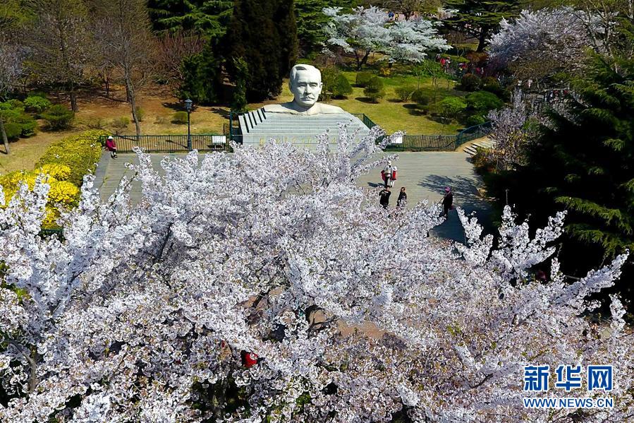 （春季美麗生態(tài)）（1）青島賞花會(huì)啟幕