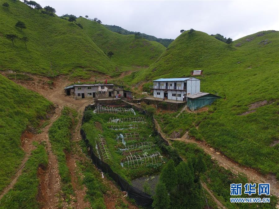 （新華全媒頭條·圖文互動）（3）一個人，一座山——劉真茂的生命守望