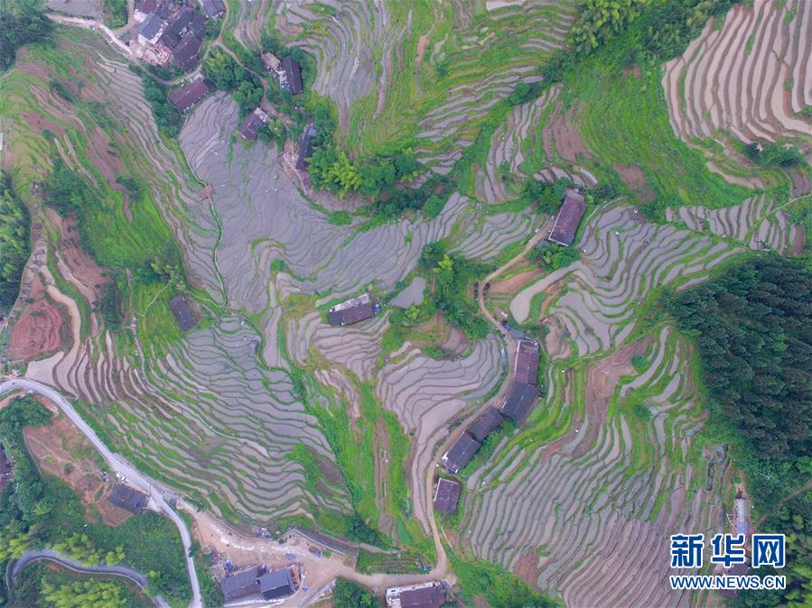 (新華全媒頭條·圖文互動)(7)最年輕的節(jié)日 最悠久的牽念——寫給首個中國農(nóng)民豐收節(jié)