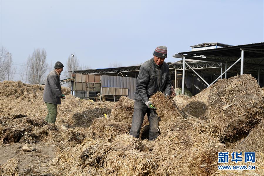 （在習(xí)近平新時代中國特色社會主義思想指引下——新時代新氣象新作為·鄉(xiāng)村振興戰(zhàn)略·圖文互動）（2）“與其放火，不如打包”——山西渾源秸稈綜合再利用見聞