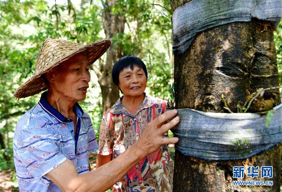 （新華全媒頭條·壯闊歷程40年系列述評(píng)·圖文互動(dòng)）（2）風(fēng)雨砥礪 壯麗史詩——從改革開放40年看中國奇跡