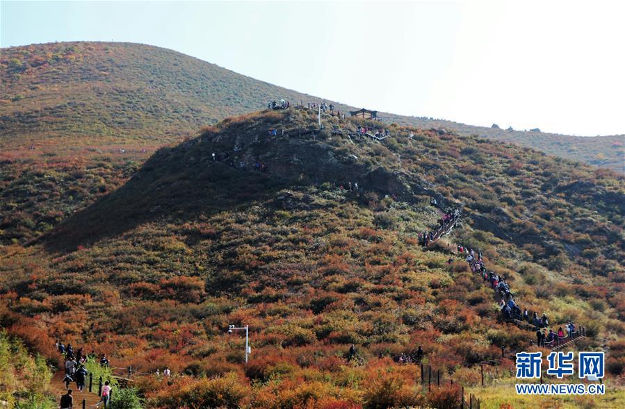 （城市綠道建設(shè)·圖文互動(dòng)）（2）青城登山步道：踏遍青山享美景 生態(tài)綠道助脫貧