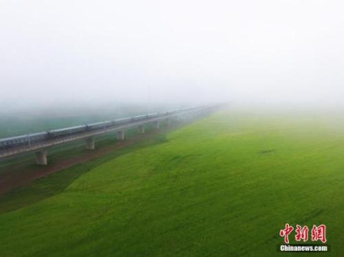 資料圖：動(dòng)車組穿越雨霧中的油菜花海宛若穿越時(shí)空。 楊艷敏 攝