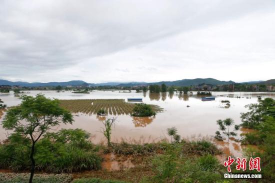 資料圖：湖南省臨武縣武水鎮(zhèn)、南強鎮(zhèn)、汾市鎮(zhèn)、水東鎮(zhèn)、金江鎮(zhèn)等鄉(xiāng)鎮(zhèn)遭遇特大暴雨襲擊，導致大量民房和農(nóng)田被淹。據(jù)不完全統(tǒng)計，該縣數(shù)千戶民房被淹，數(shù)十萬畝農(nóng)田、果園、煙田被淹斷收，直接經(jīng)濟損失達數(shù)千萬元。災情發(fā)生后，當?shù)卣跋嚓P(guān)部門第一時間奔赴受災鄉(xiāng)鎮(zhèn)轉(zhuǎn)移群眾，察看災情并積極組織村民排澇自救、發(fā)放救災物資、開展保險理賠等工作。目前救災工作正在有序進行，無人員傷亡。唐盛歡 攝