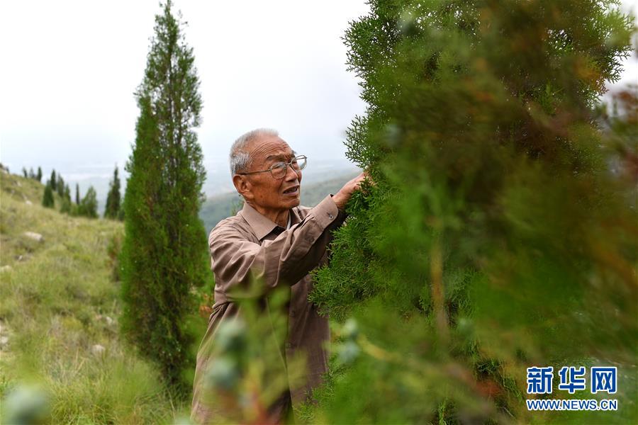 （在習(xí)近平新時(shí)代中國特色社會(huì)主義思想指引下——新時(shí)代新作為新篇章·圖文互動(dòng)）（5）中條山下綠意濃——一個(gè)“資源窮縣”的生態(tài)發(fā)展之路