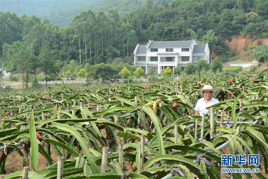 （在習(xí)近平新時(shí)代中國(guó)特色社會(huì)主義思想指引下——新時(shí)代新作為新篇章·總書記關(guān)心的百姓身邊事·圖文互動(dòng)）（6）大污染變身“大寶藏”：治理畜禽糞污，他們這樣干！
