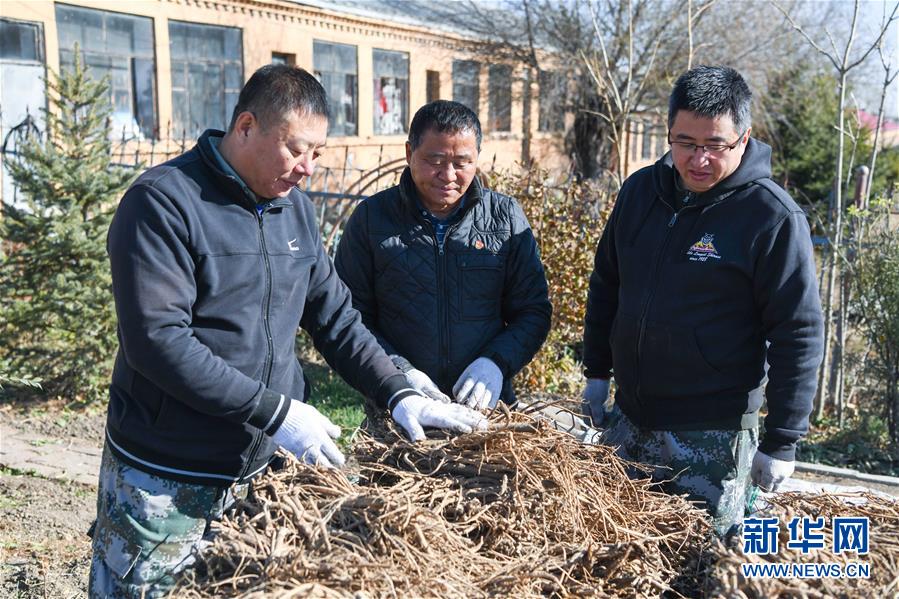 （在習(xí)近平新時代中國特色社會主義思想指引下——新時代新作為新篇章·總書記關(guān)心的百姓身邊事·圖文互動）（6）一本“村官”日記里的扶貧路——小故事里的大情懷之四