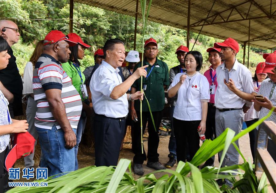 （不忘初心、牢記使命·圖文互動）（5）拳拳寸草心 濃濃報國情——記“菌草之父”林占熺