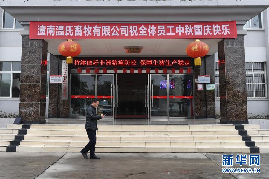 （在習(xí)近平新時(shí)代中國(guó)特色社會(huì)主義思想指引下——新時(shí)代新作為新篇章·總書記關(guān)切高質(zhì)量發(fā)展·圖文互動(dòng)）（1）穩(wěn)住“一頭豬”、供好“一袋米”、配好“一籃菜