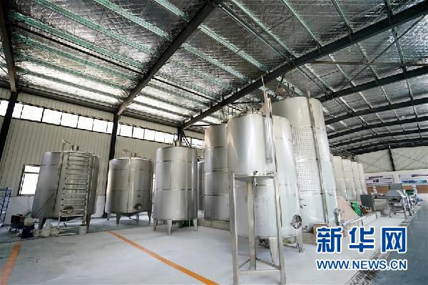 （決戰(zhàn)決勝脫貧攻堅·圖文互動）（5）西藏昌都“甜蜜”產業(yè)助脫貧