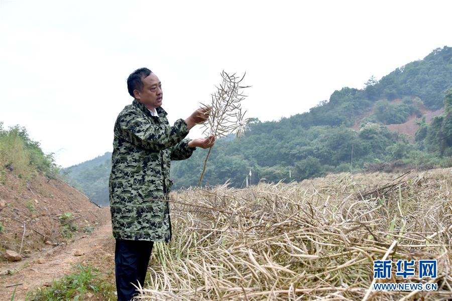 （代表委員履職·圖文互動）（1）“我是農(nóng)民代表，始終關(guān)注農(nóng)村”——全國人大代表沈昌健的履職故事