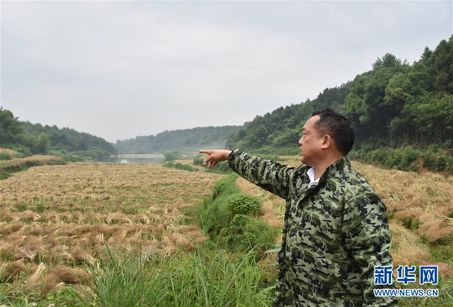 （代表委員履職·圖文互動）（2）“我是農(nóng)民代表，始終關(guān)注農(nóng)村”——全國人大代表沈昌健的履職故事