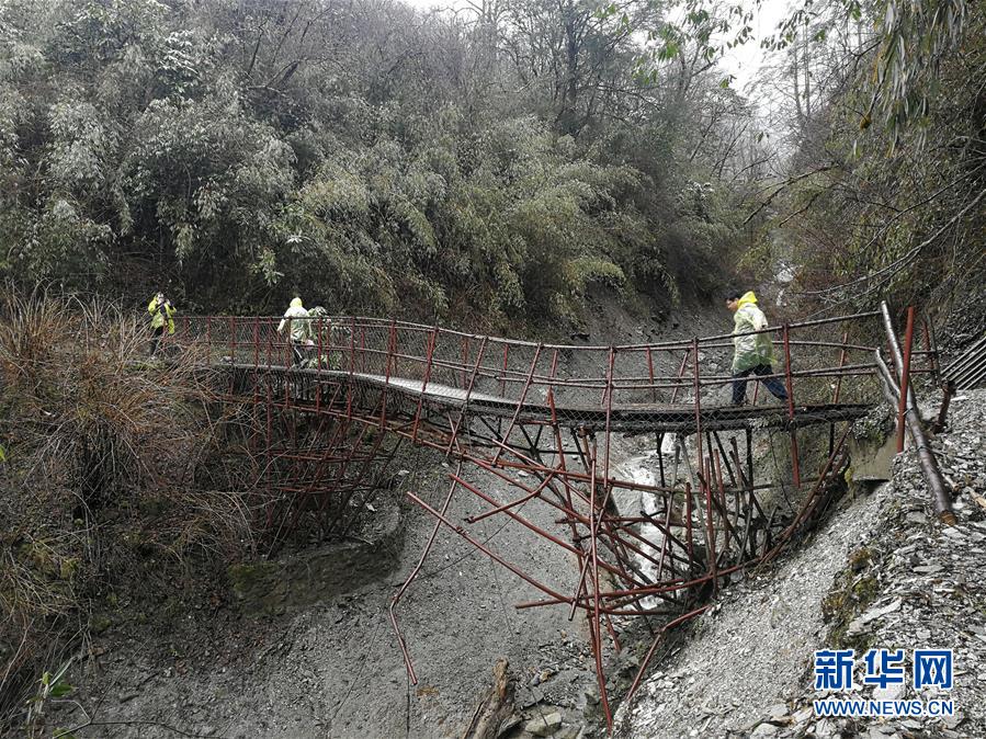 （圖文互動）（3）風雪臥龍話熊貓