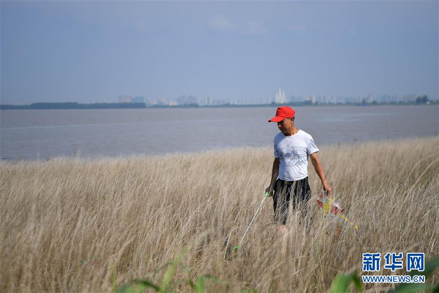 （新華全媒頭條·圖文互動）（7）大湖新歌——我國兩大淡水湖全面生態(tài)修復(fù)進行時