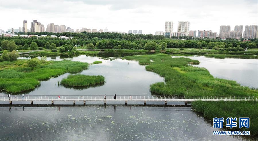 （走向我們的小康生活·圖文互動）（1）水清、地綠、空氣新——最北省份黑龍江繪就生態(tài)治理新畫卷