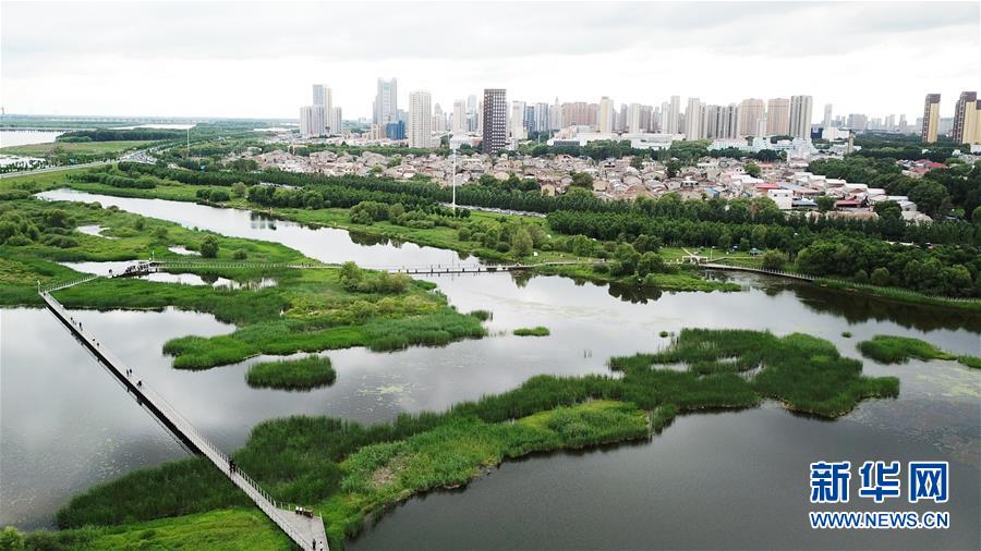 （走向我們的小康生活·圖文互動）（2）水清、地綠、空氣新——最北省份黑龍江繪就生態(tài)治理新畫卷