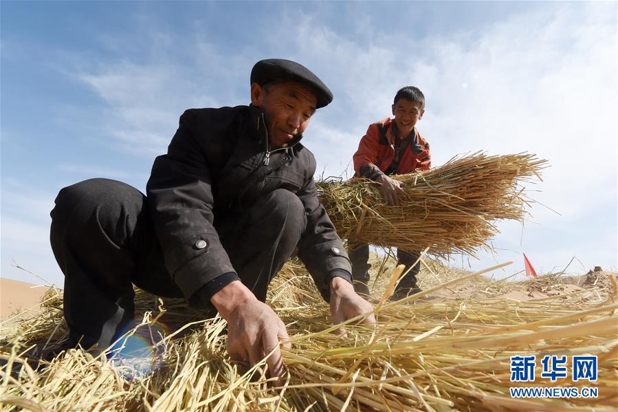 （在習(xí)近平新時(shí)代中國特色社會主義思想指引下——新時(shí)代新作為新篇章·習(xí)近平總書記關(guān)切事·圖文互動）（5）綠色映底蘊(yùn)，山水見初心——生態(tài)優(yōu)先、綠色發(fā)展持續(xù)造福群眾美好生活