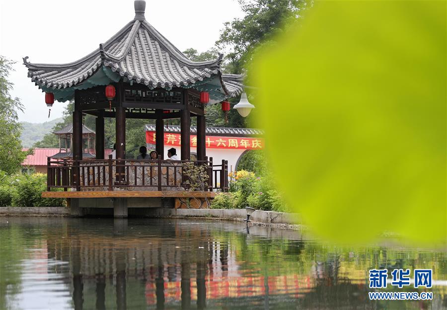 （走向我們的小康生活·圖文互動）（3）從“遼寧藍(lán)”到“花果山”——遼寧推進生態(tài)文明建設(shè)剪影