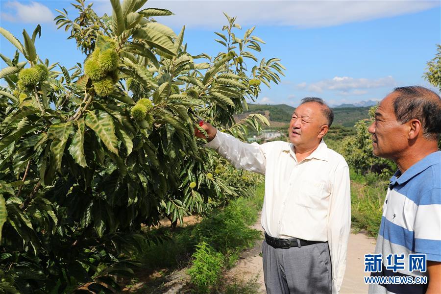 （新華全媒頭條·走向我們的小康生活·圖文互動(dòng)）（11）長(zhǎng)城腳下，小康村串成“珍珠鏈”