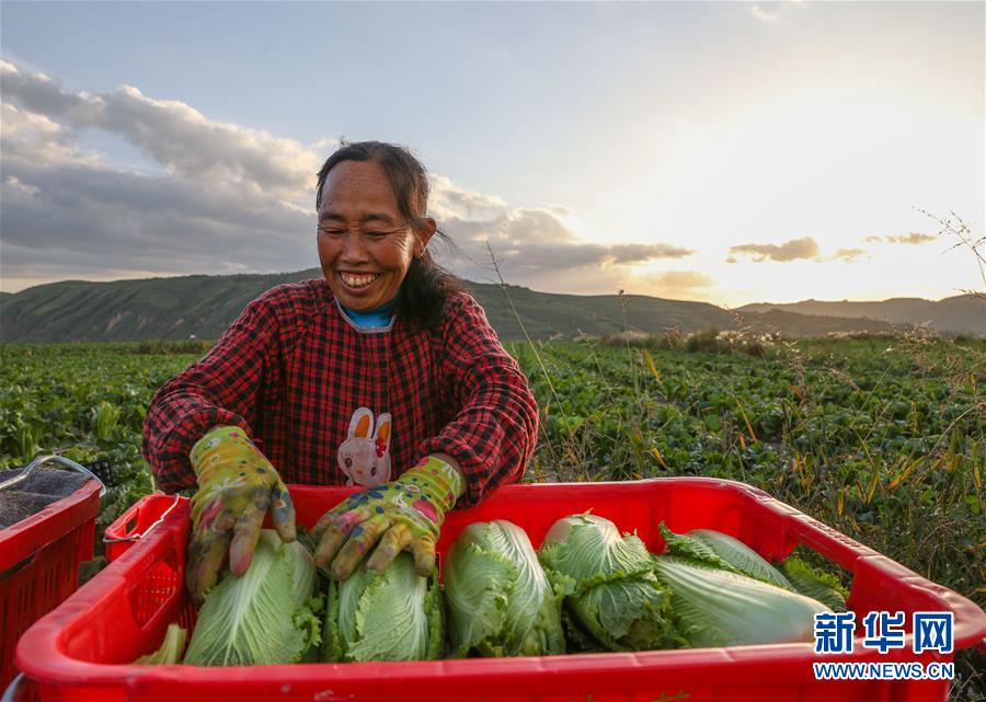 （新華全媒頭條·決戰(zhàn)決勝脫貧攻堅·督戰(zhàn)未摘帽貧困縣·圖文互動）（1）不獲全勝，決不收兵——全國52個掛牌督戰(zhàn)貧困縣脫貧攻堅紀實