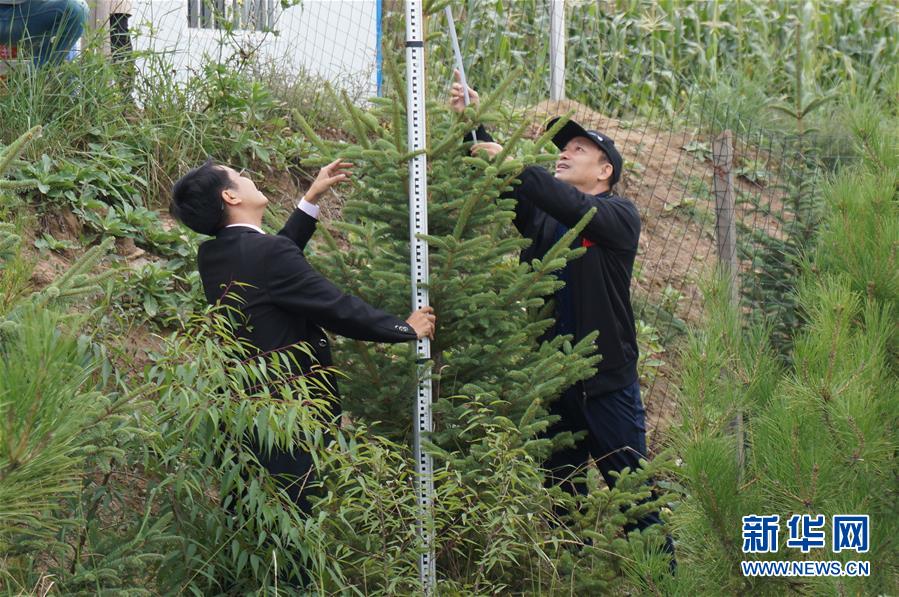 （決戰(zhàn)決勝脫貧攻堅·圖文互動）（2）甘肅定西黃土高坡上，有片“福州林”