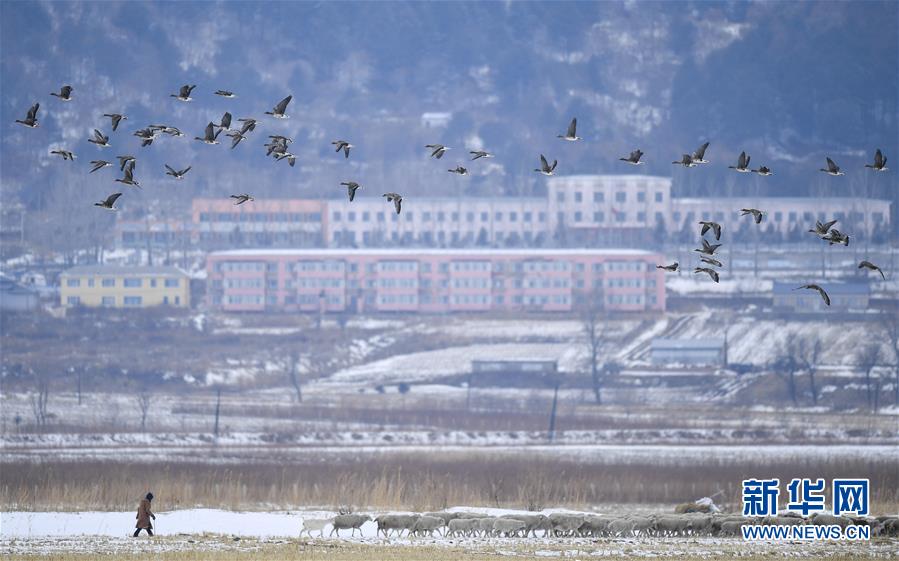 （新華全媒頭條·走向我們的小康生活·圖文互動）（14）黑土地上是我家——在吉林，一瞥中國東北鄉(xiāng)村美麗未來