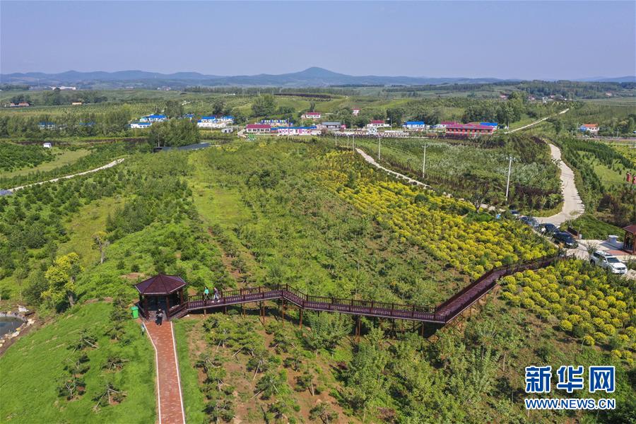 （新華全媒頭條·走向我們的小康生活·圖文互動）（16）黑土地上是我家——在吉林，一瞥中國東北鄉(xiāng)村美麗未來