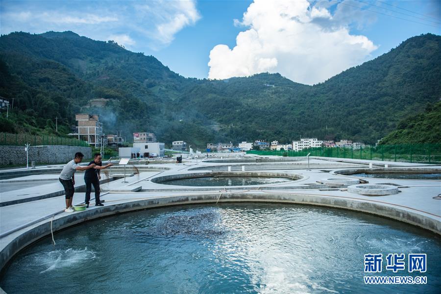 （新華全媒頭條·決戰(zhàn)決勝脫貧攻堅(jiān)·督戰(zhàn)未摘帽貧困縣·圖文互動(dòng)）（11）把“最能打的人”放在最需要的地方——聚焦貴州未脫貧縣里的“助攻干部”