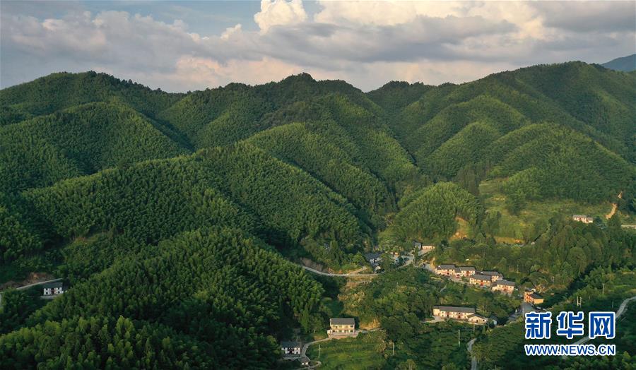 （新華全媒頭條·走向我們的小康生活·圖文互動）（2）神山村“神奇”何在？——井岡山深處覓答案