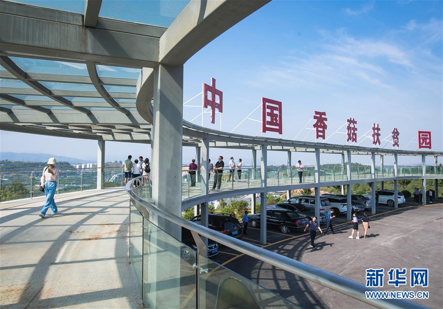 （新華全媒頭條·走向我們的小康生活·圖文互動(dòng)）（2）特殊之年，荊楚大地書寫不平凡的答卷