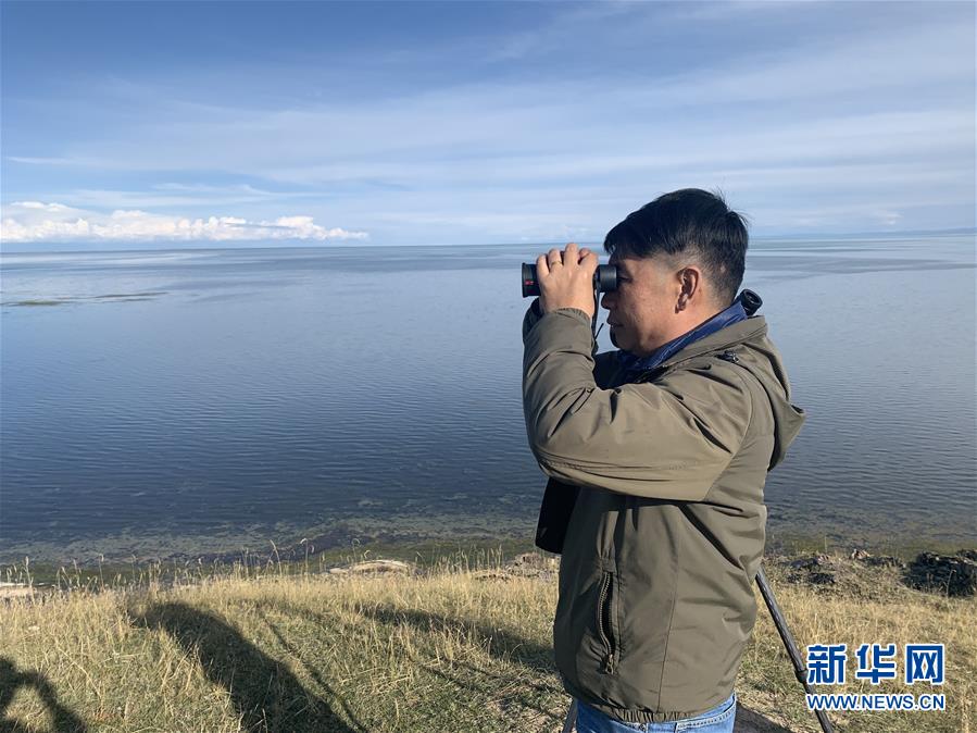 （新華全媒頭條·圖文互動）（9）大湖見證 ——持續(xù)保護讓青海湖生態(tài)華麗“蝶變”