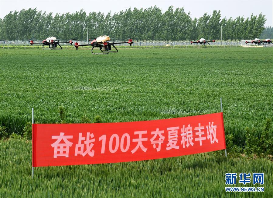 （在習近平新時代中國特色社會主義思想指引下——新時代新作為新篇章·習近平總書記關(guān)切事·圖文互動）（9）新農(nóng)事、新希望——夏收前田間新動態(tài)掃描