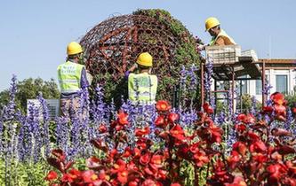 天安門廣場國慶花卉開始布置