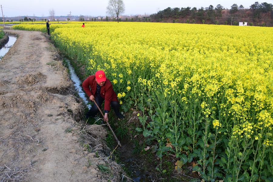 貧困戶老楊的人生“三級(jí)跳”