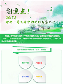 劃重點(diǎn)！2019年中央一號文件中的硬任務(wù)怎么干