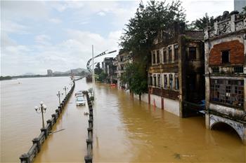 廣東陽(yáng)春部分街道房屋被洪水浸泡