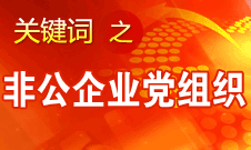 王京清：非公企業(yè)建立黨組織服務(wù)企業(yè)發(fā)展、服務(wù)員工